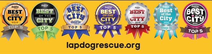 Albuquerque The Magazine Best of the City TOP 5 badges for 2015, 2016, 2017, 2018, 2019, 2020, and 2021