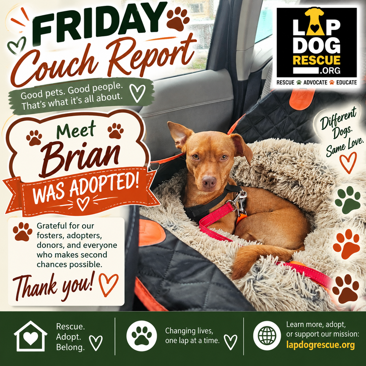 Friday Couch Report celebrating Brian's adoption