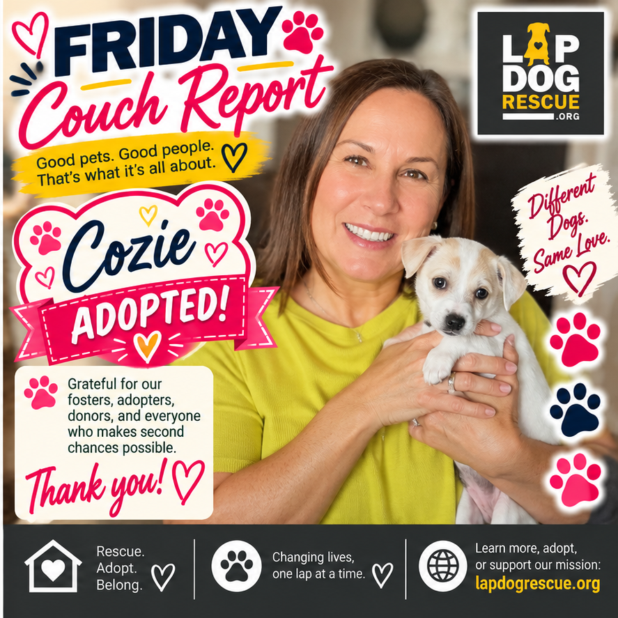 Friday Couch Report celebrating Cozie — adopted in October 2026