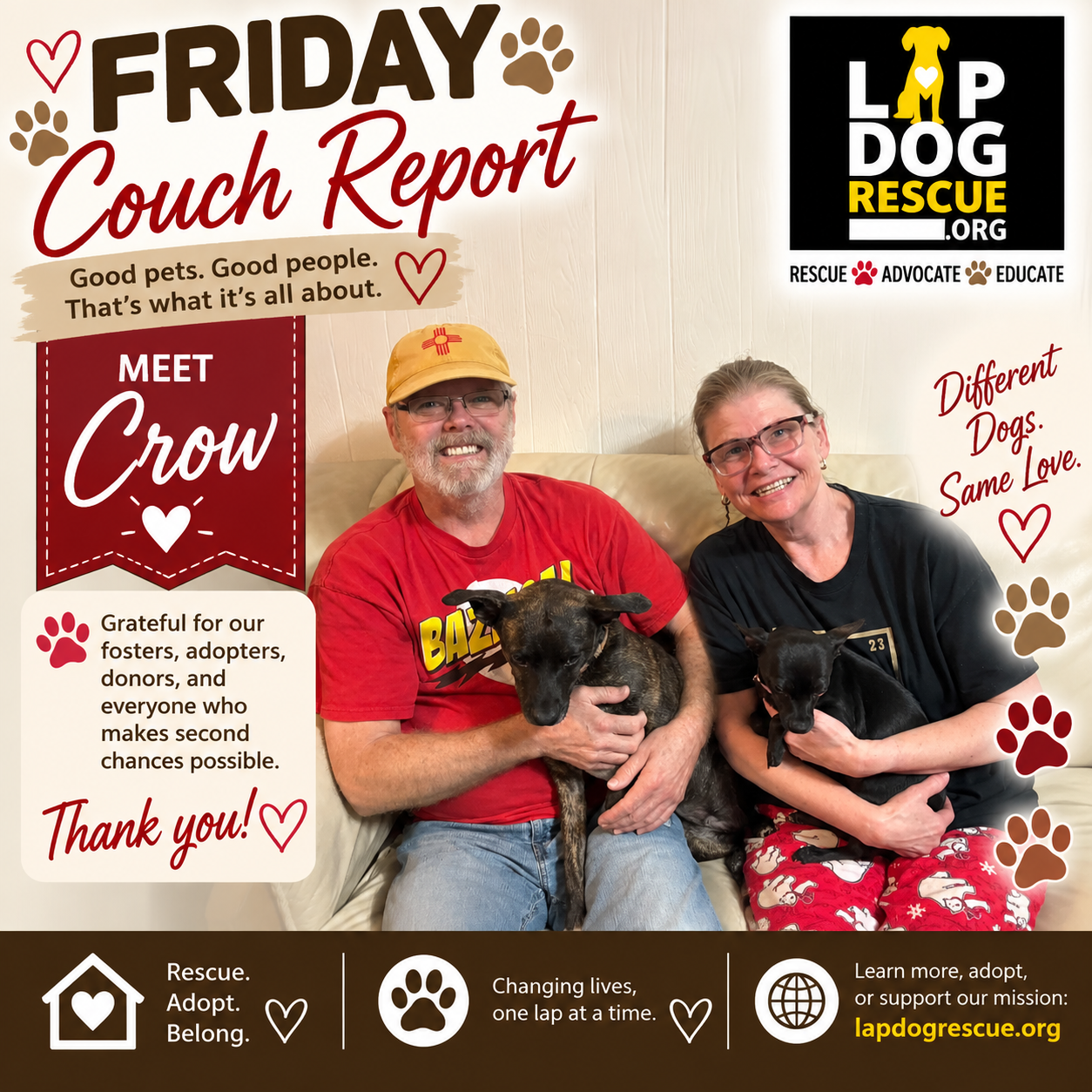 Friday Couch Report celebrating Crow's adoption