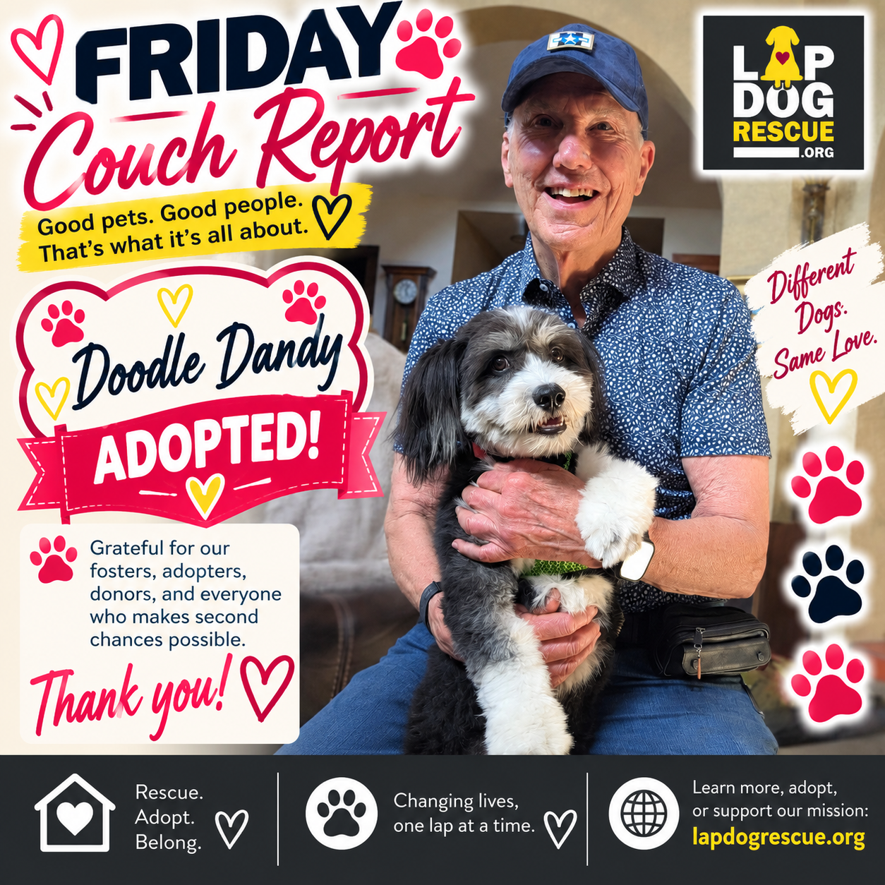 Friday Couch Report celebrating Doodle Dandy — adopted in October 2026