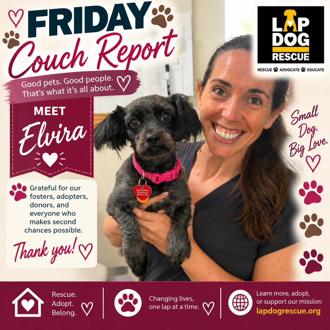 Friday Couch Report celebrating Elvira's adoption