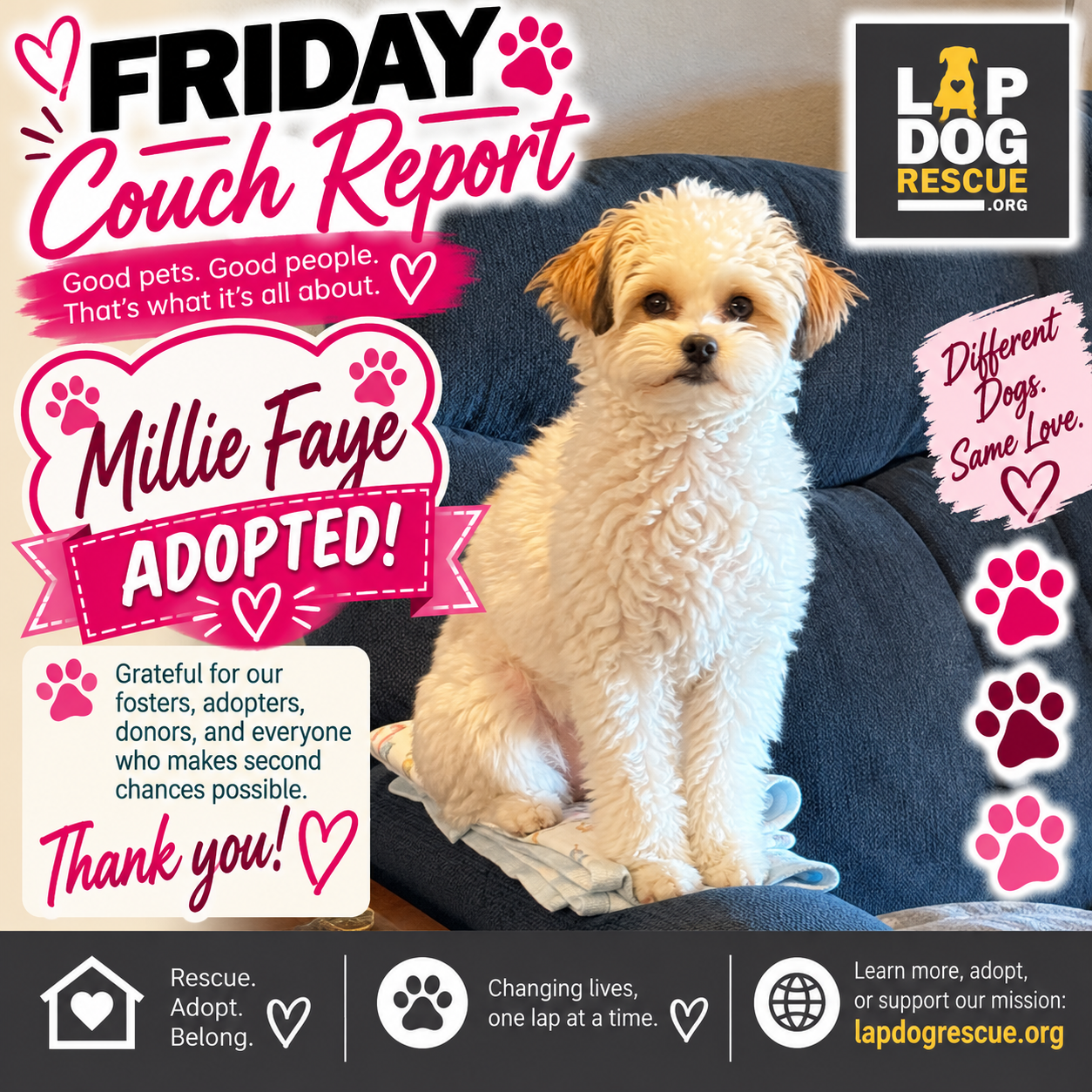 Friday Couch Report celebrating Millie Faye — adopted in October 2026