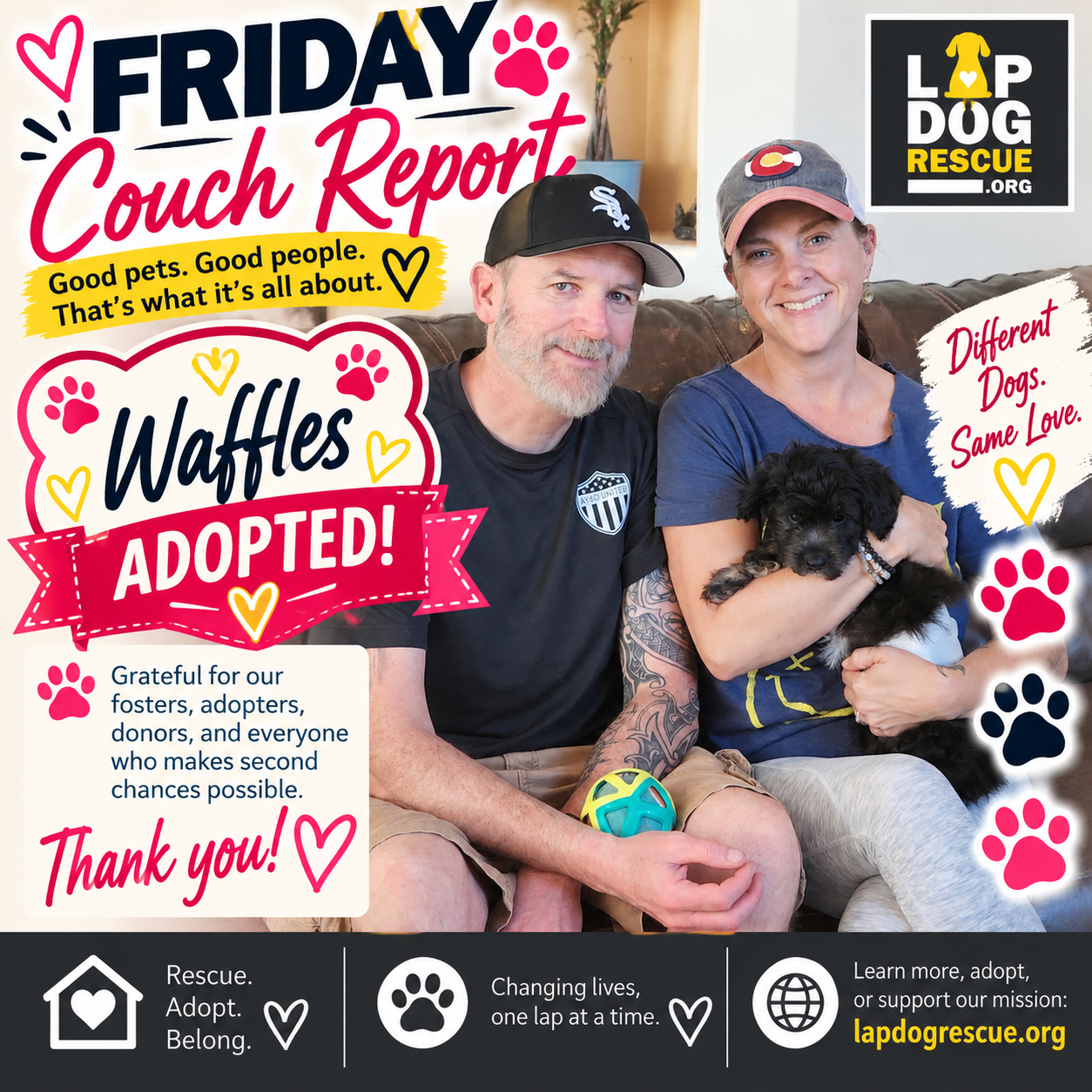 Friday Couch Report celebrating Waffles — adopted in October 2026