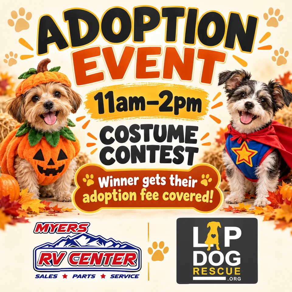 Halloween adoption event at Myers RV Center with dogs in costumes, 11 a.m. to 2 p.m., and a costume contest whose winner gets their adoption fee covered.